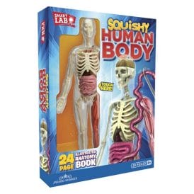 Squishy Human Body Anatomy Kit Smart Lab