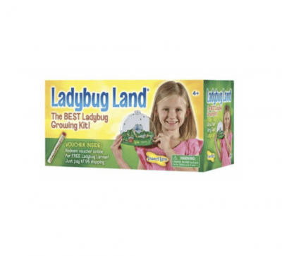 Ladybug Land Hatching Kit