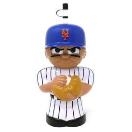 Big Sip MLB New York Mets 16 oz. Water Bottle