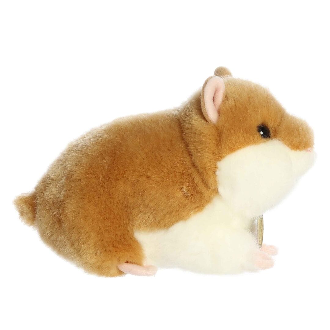 Aurora: Miyoni- Syrian Golden Hamster - Image 2