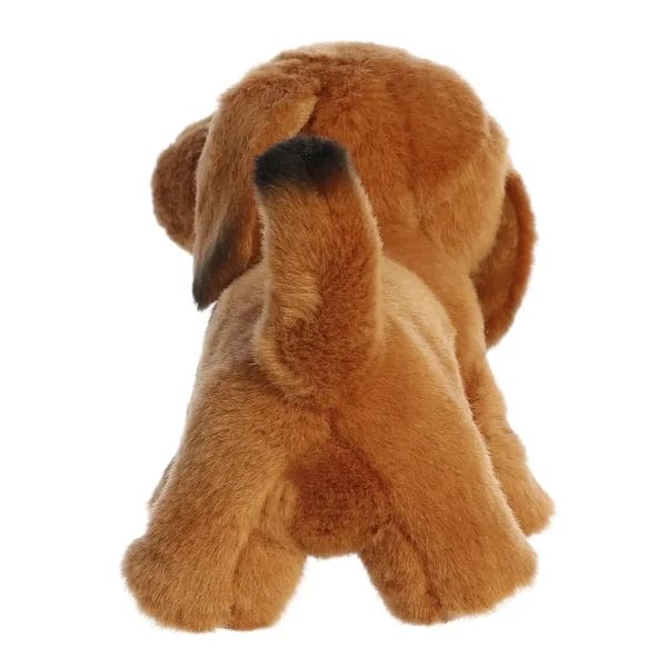 Aurora: Miyoni Dachsund Stuffed Animal - Image 2