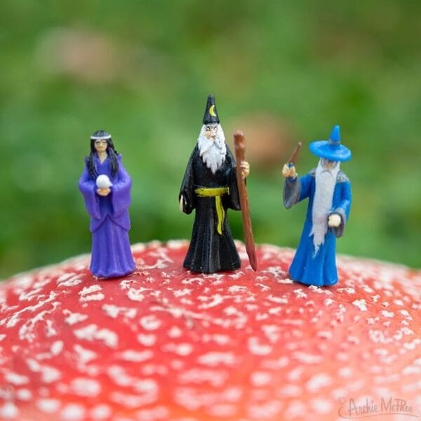Archie McPhee: Tiny Box of Wizards - Image 2